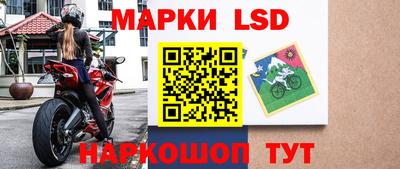 мдпв Кингисепп