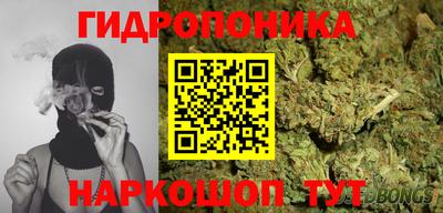 мдпв Кингисепп
