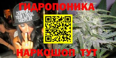 мдпв Кингисепп