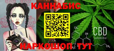 мдпв Кингисепп