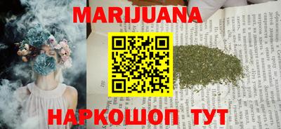 мдпв Кингисепп