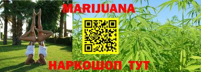 мдпв Кингисепп