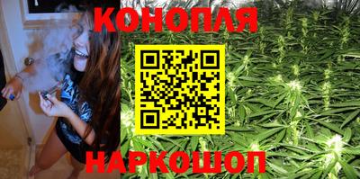 мдпв Кингисепп