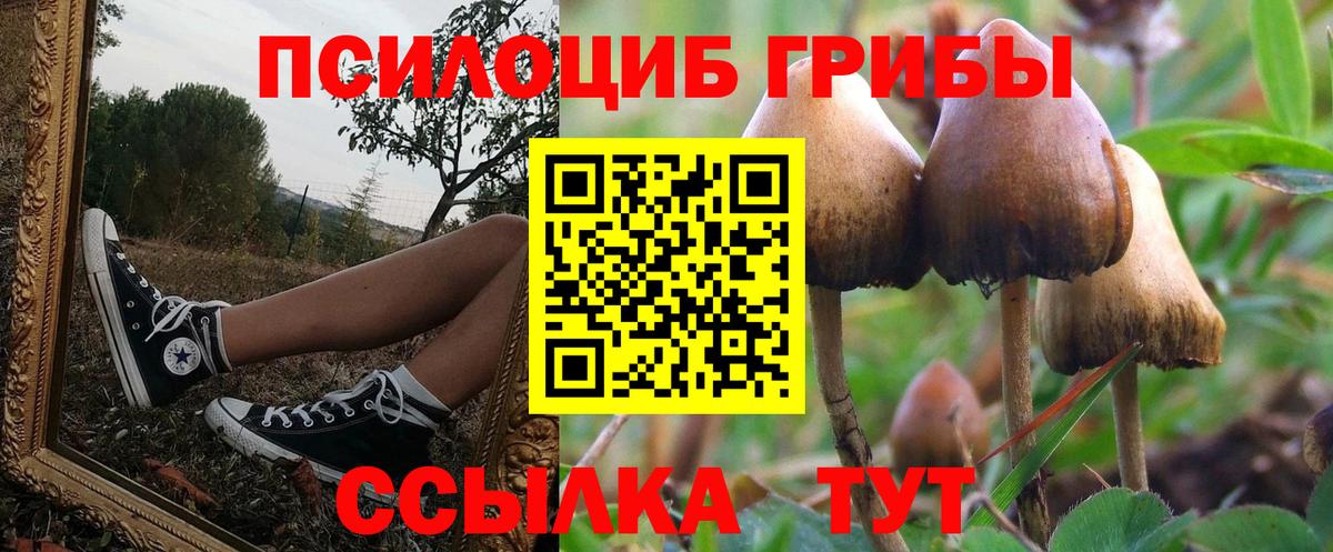 Галлюциногенные грибы мухоморы Кстово