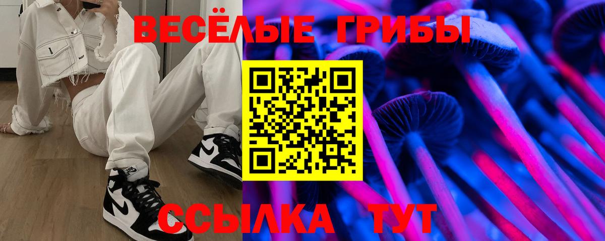 Кстово  цена наркотик  Вход с VPN  Псилоцибиновые грибы мицелий 